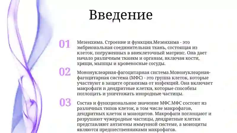 Строение И Функции Мезенхимы 2