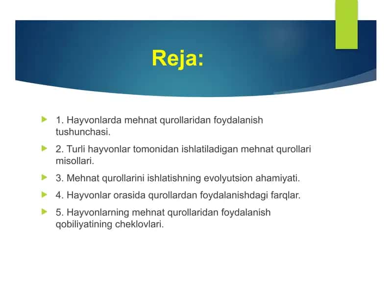 Hayvonlarda Mehnat Qurollaridan Foydalanish 2
