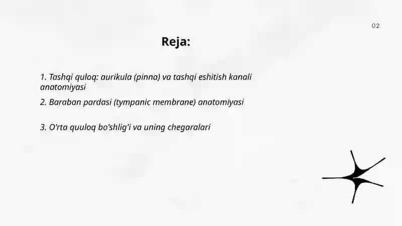 Eshtish va muvozanat a’zolari anatomiyasi 2