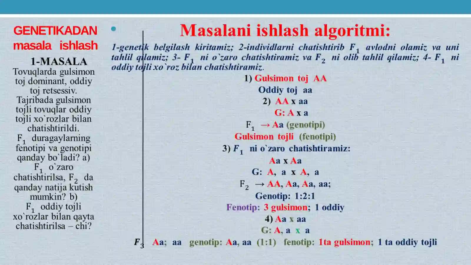 GENETIKADAN MASALA ISHLASH 2