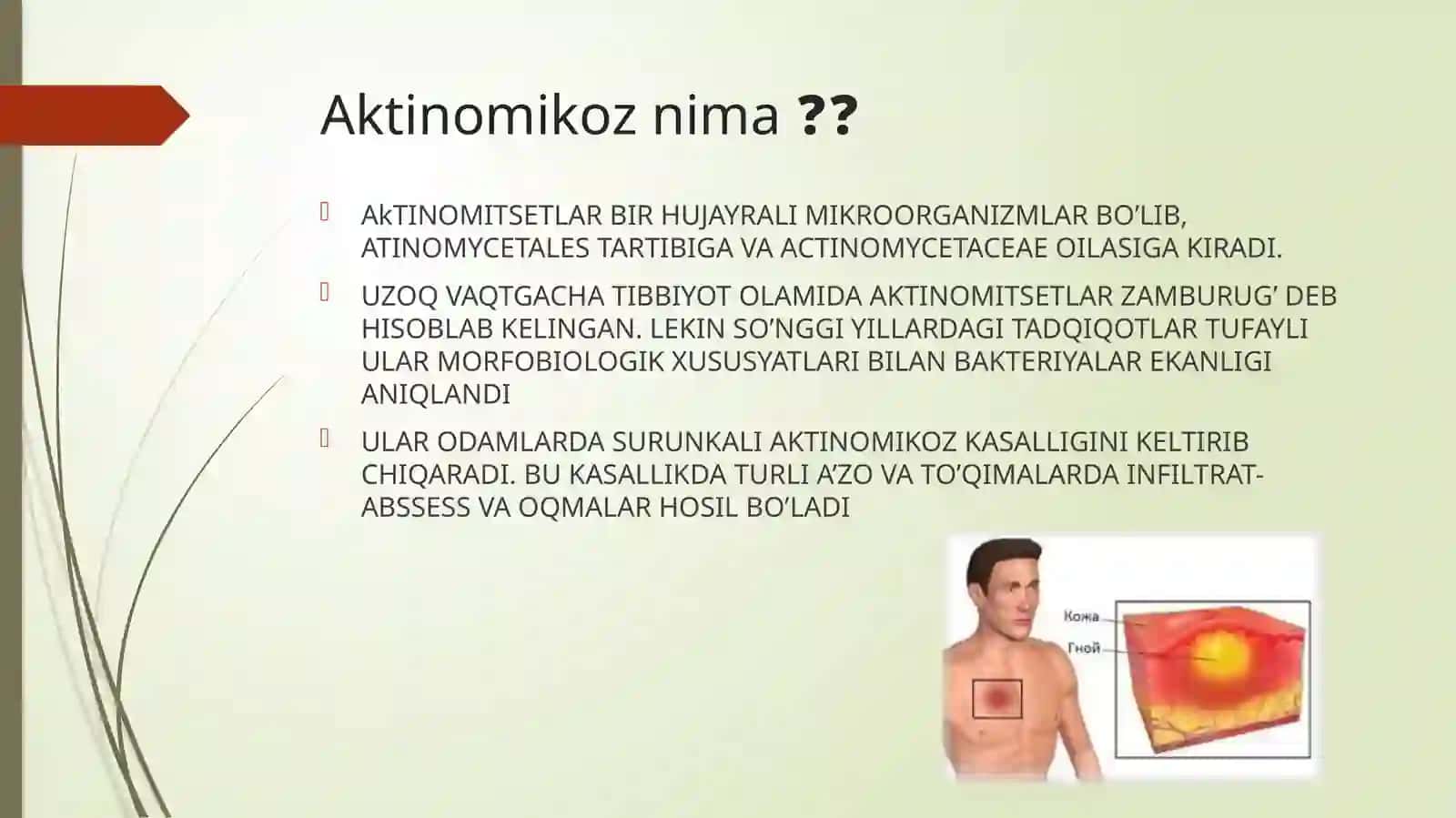 Aktinomikoz va qo‘zg‘atuvchilari 2