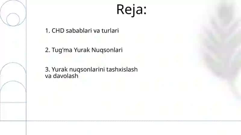 Tug'ma Yurak Nuqsonlari 2