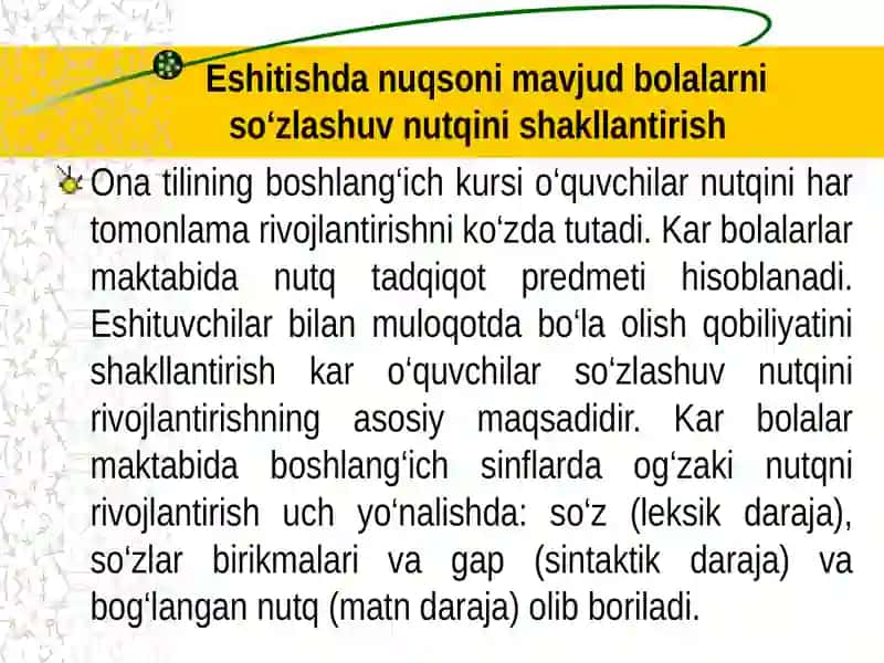 Eshitishda nuqsoni mavjud bolalarni so‘zlashuv nutqini shakllantirish 2