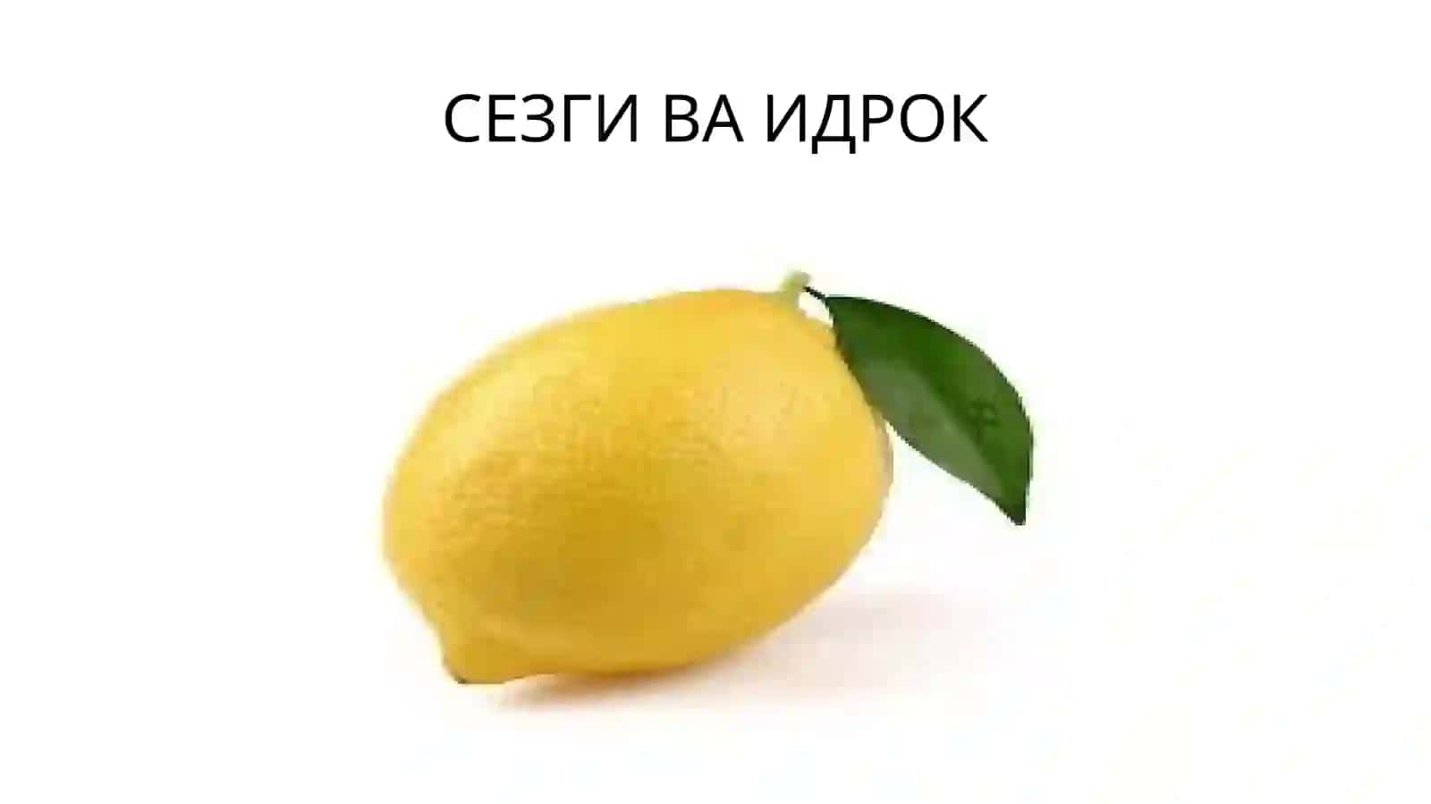 BILISH JARAYONLARI BUZILISHLARI 2