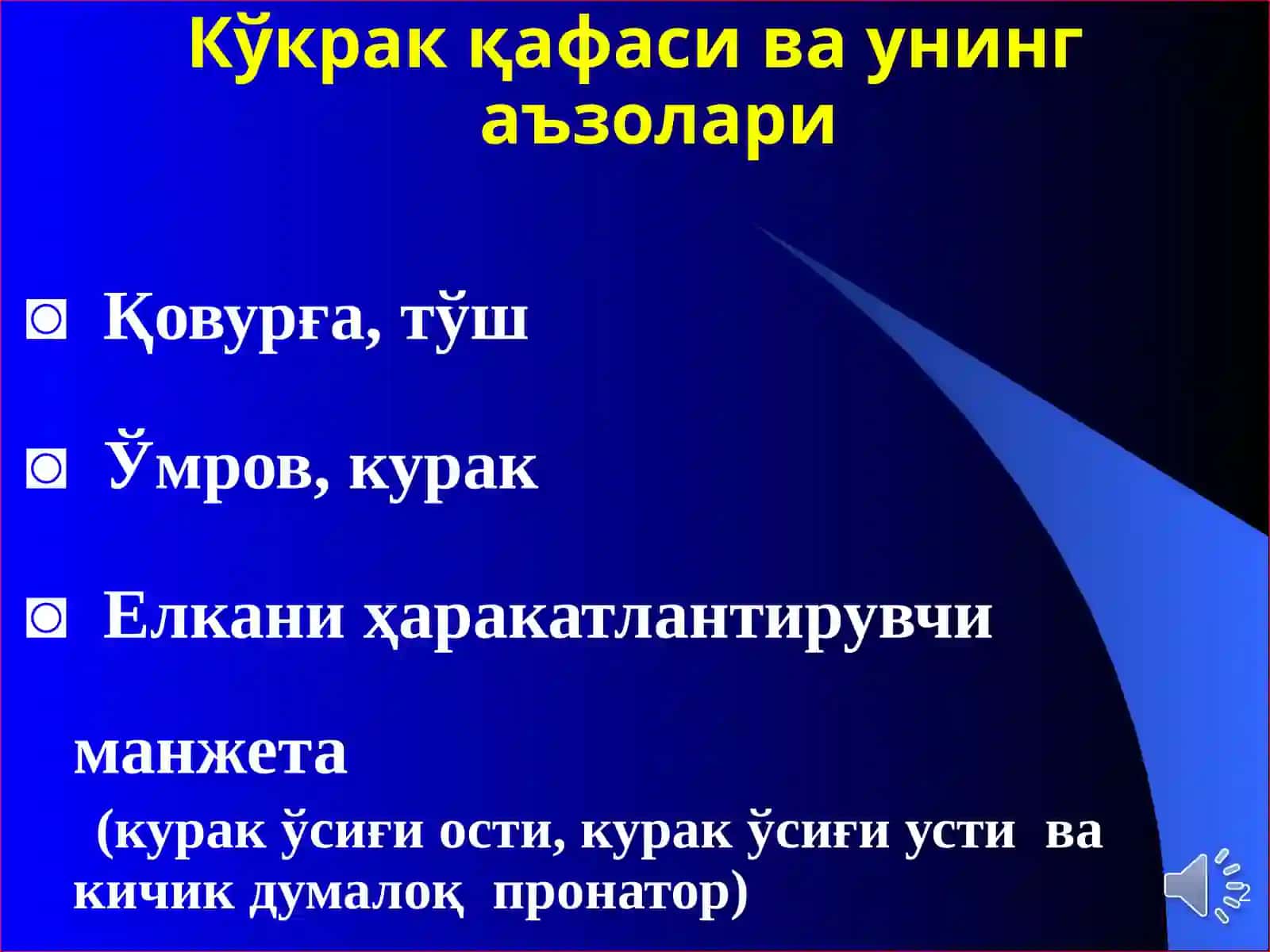 ЕЛКА КАМАРИ ВА КЎКРАК 2