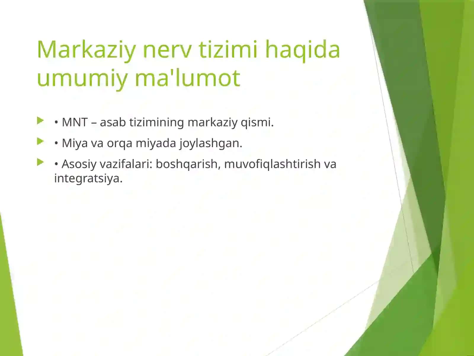 Markaziy nerv tizimi 2