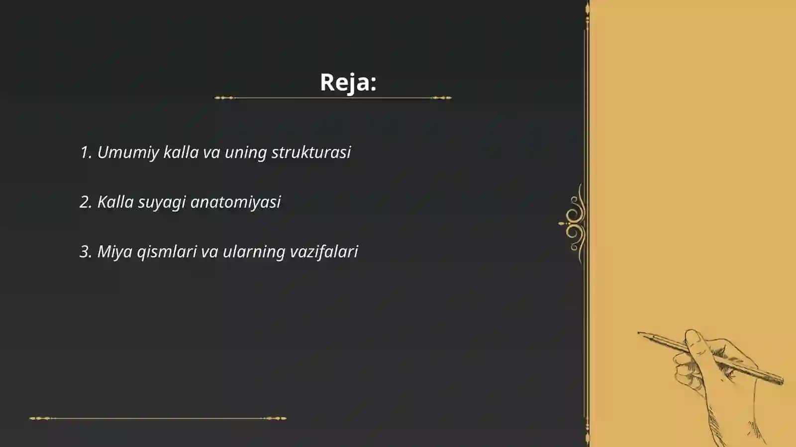 Kalla suyagi anatomiyasi 2