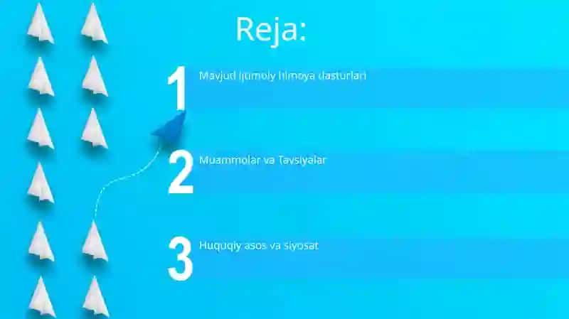 Ijtimoiy Himoya Dasturlari 2