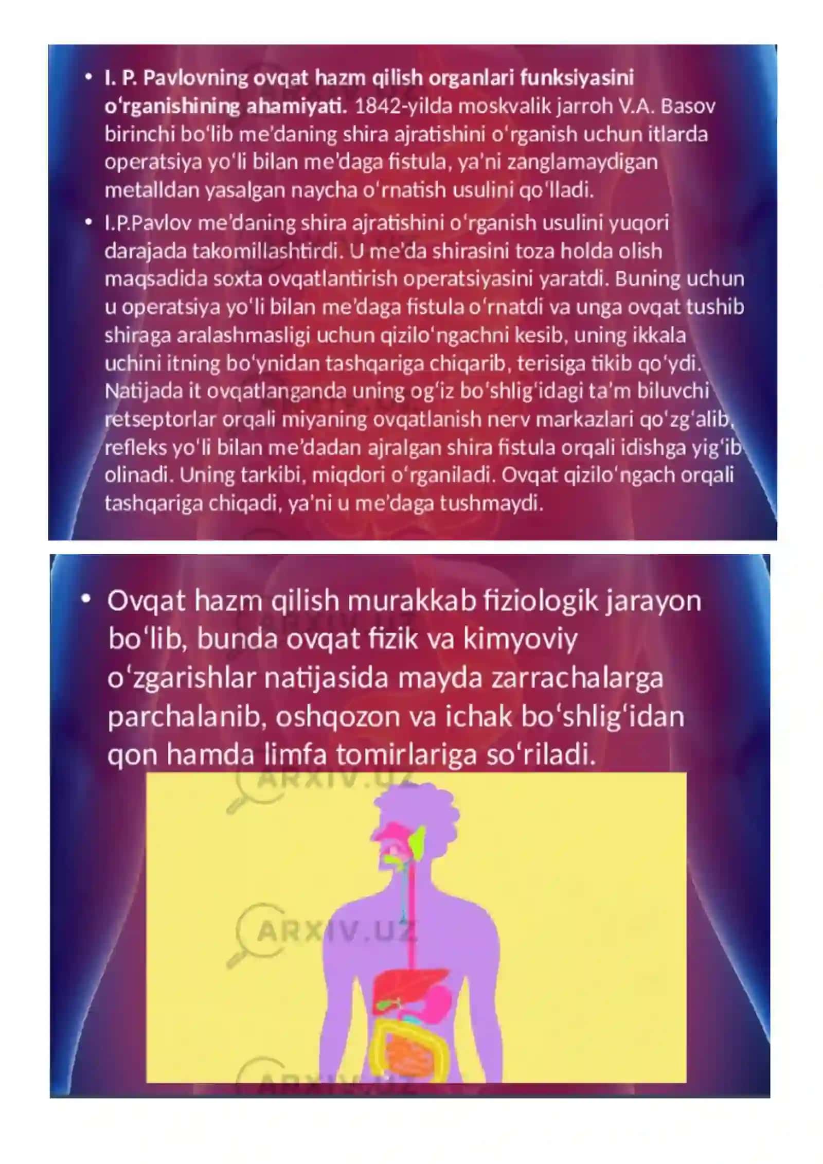 Ovqat hazm qilish 2