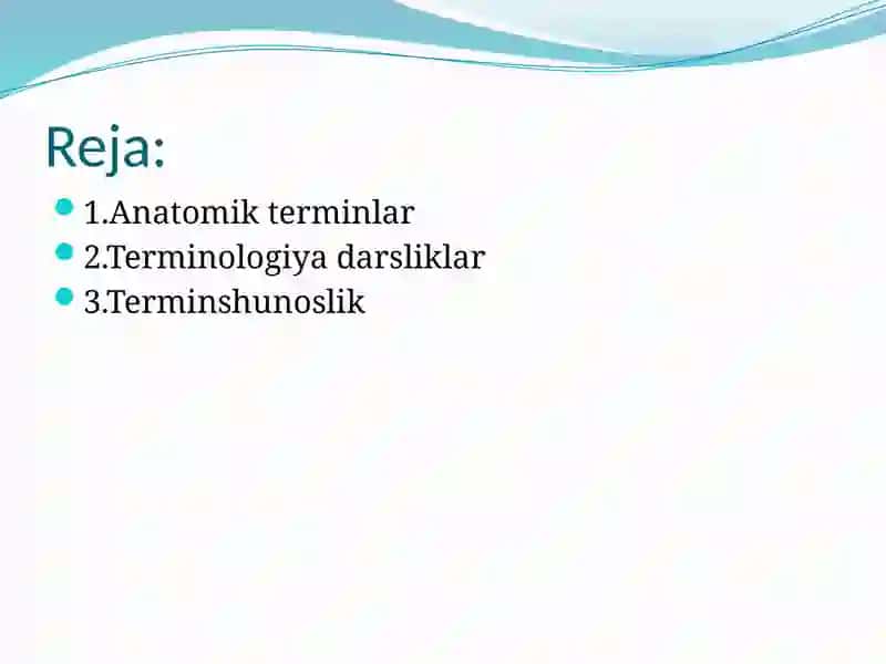 Lotin til terminologiyasining asoschilari 2