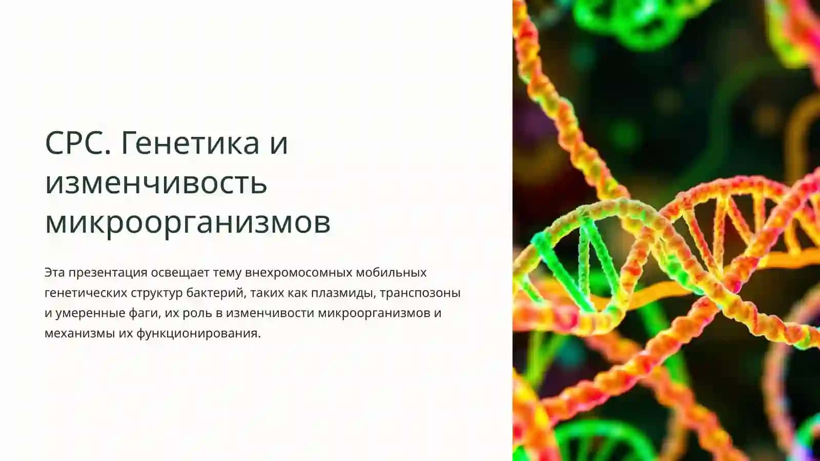 СРС. Генетика и изменчивость микроорганизмов 2