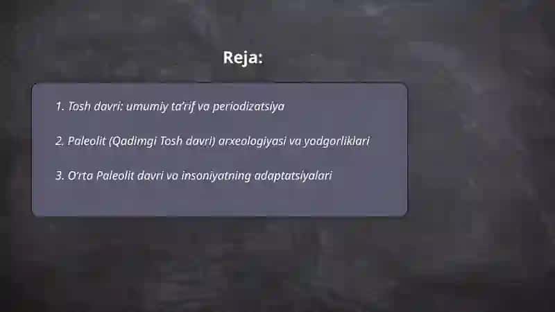 Tosh davri arxeologiyasi 2