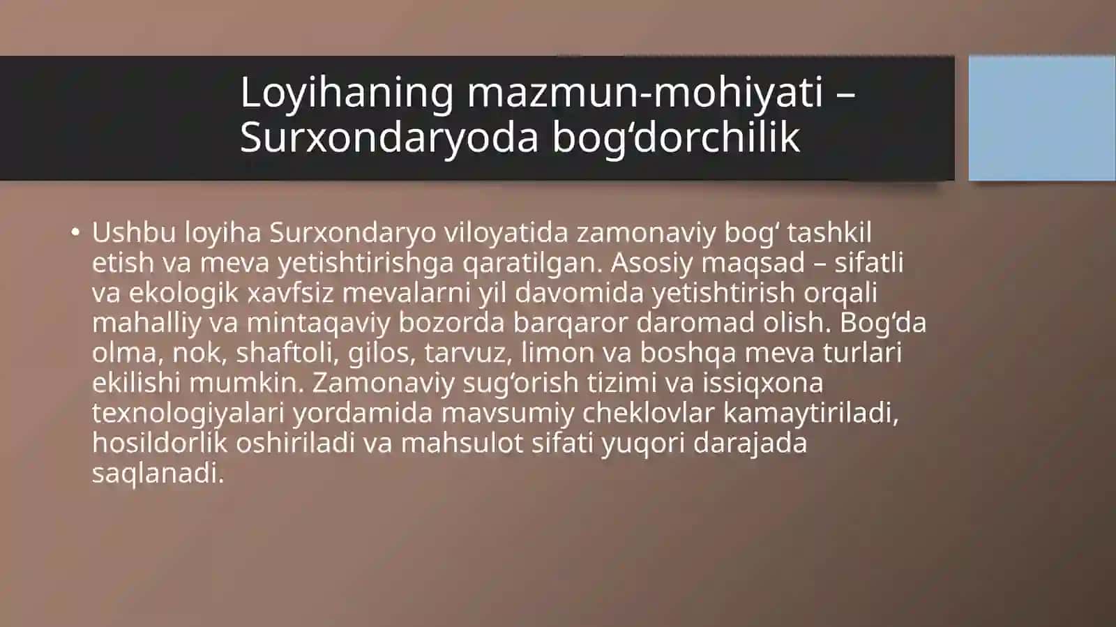 (100 millionlik loyiha ishi)  Surxondaryoda bog‘dorchilik Loyihasi 2