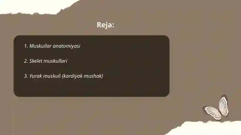 Muskullar sistemasi 2