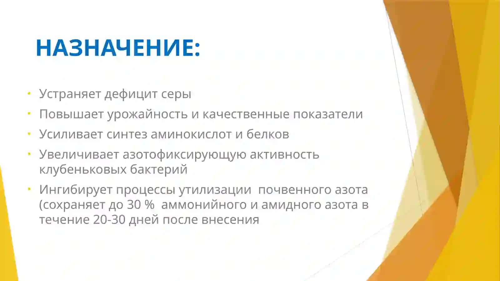 ПОЛИДОН СЕРА 2