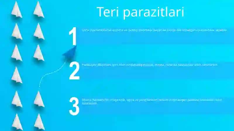 Odamda Parazitlik Qiluvchi Sodda Hayvonalar 2