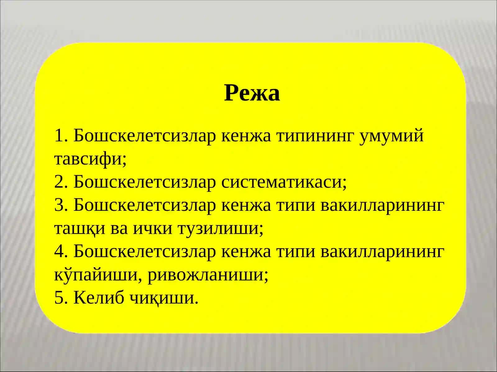 Бошскелетсизлар кенжа типининг умумий тавсифи 2