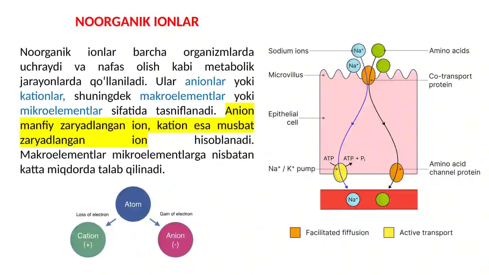 Noorganik ionlar 2