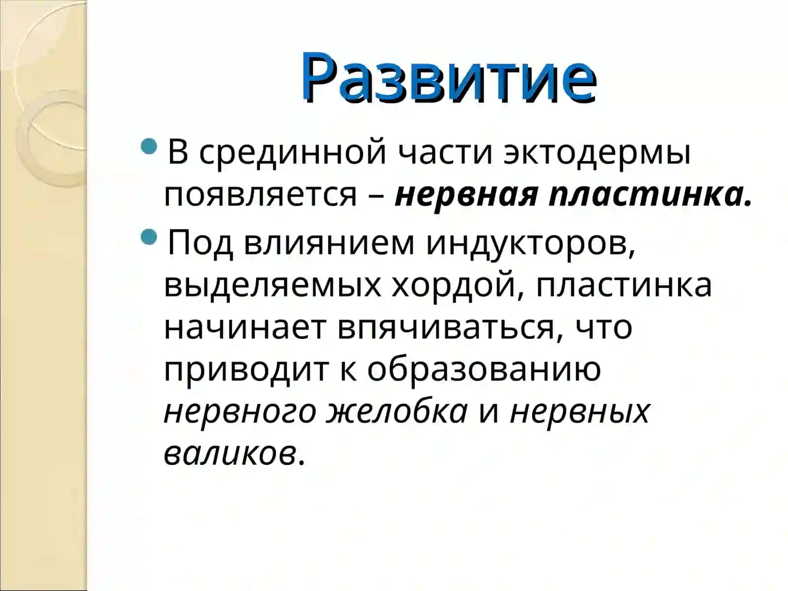 Нервная ткань 2