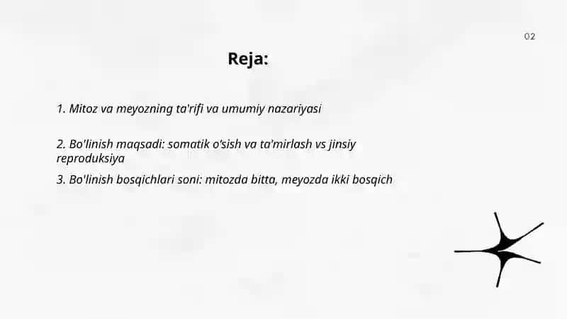 Mitoz va meyoz 2