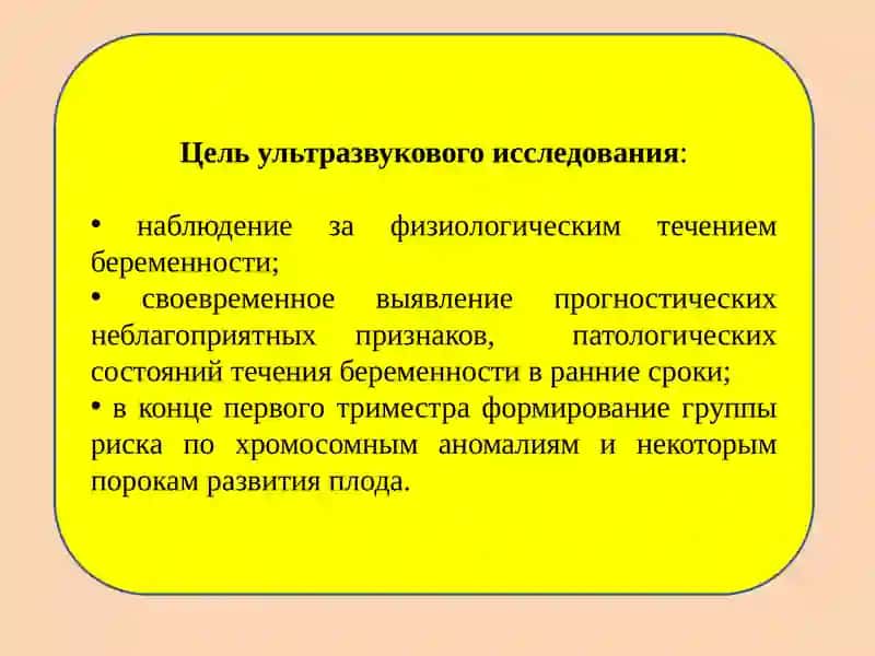 Ультразвуковое исследование в первом триместре беременности 2