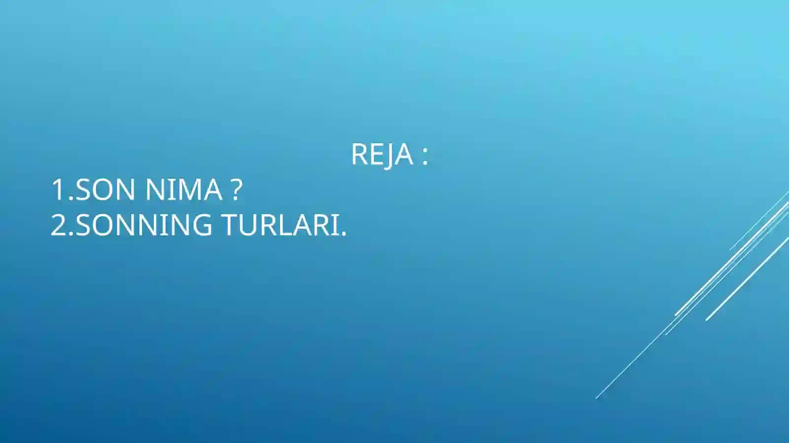 Son so‘z turkumi 2