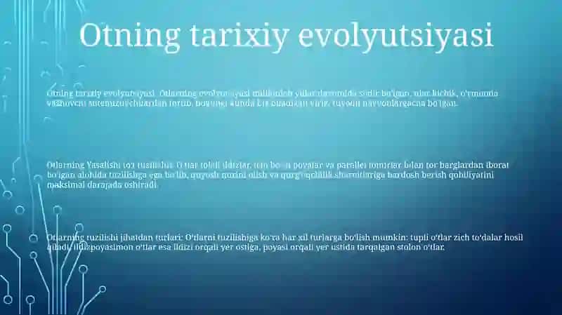 Otlarning Yasalishi 2