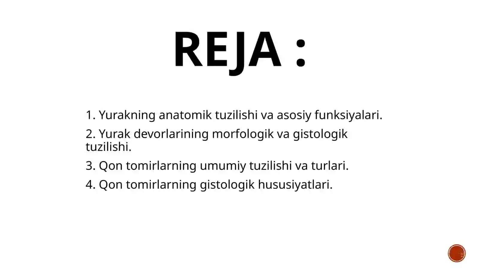 Yurakning morfofunktsional tavsifi 2