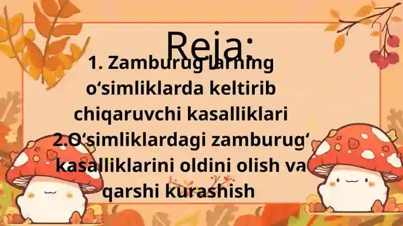 Zamburugʻ kasalliklar va ularga qarshi kurashish 2