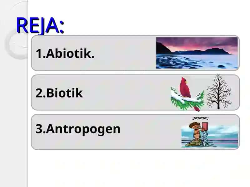 Muhit va ekologik omillar 2