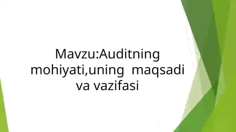 Auditning mohiyati, uning maqsadi va vazifasi 2