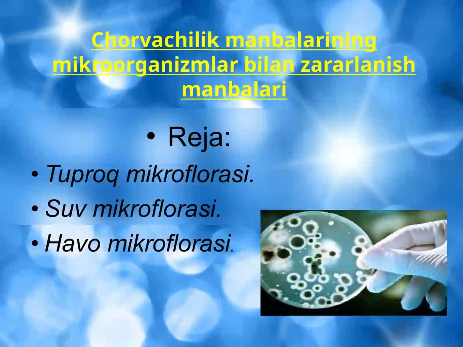 Chorvachilik manbalarining mikroorganizmlar bilan zararlanish manbalari 2
