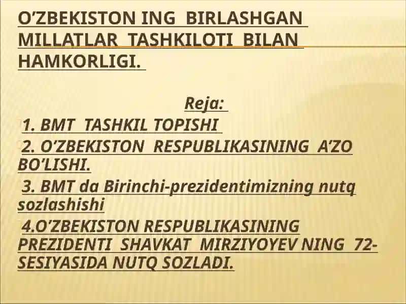 Birlashgan millatlar tashkiloti (BMT) 2