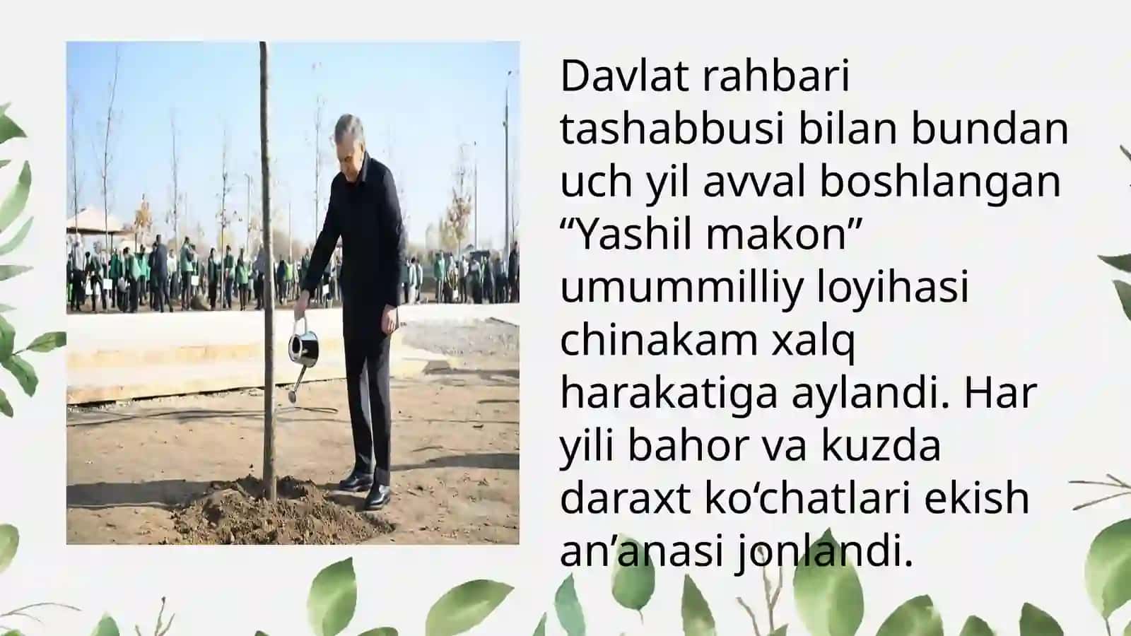 YASHIL MAKON”  UMUMMILLIY  LOYIHASI 2