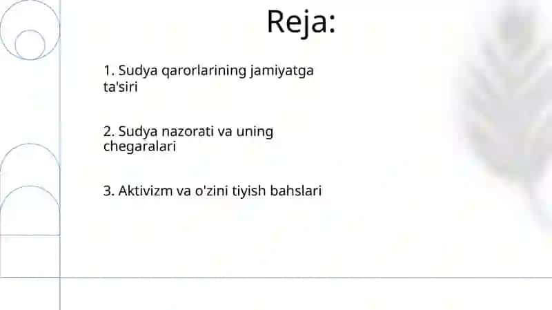 Adliya organlari faoliyati 2