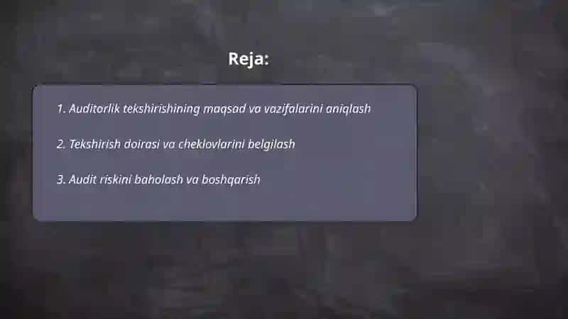 Auditorlik tekshirishni rejalashtirish 2