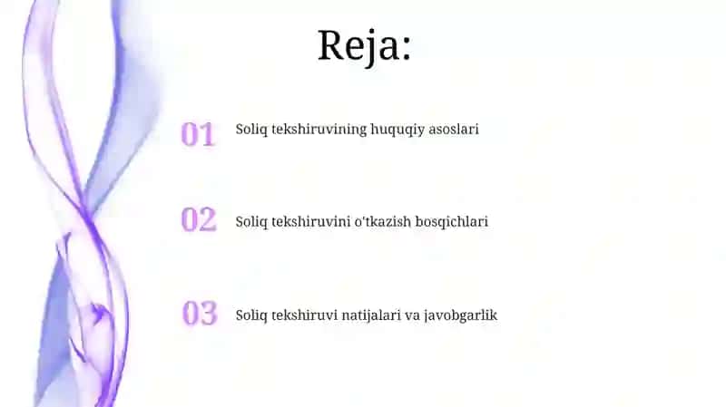 Soliq tekshiruvi 2