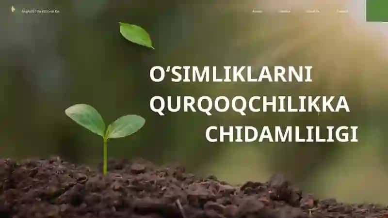 O'simliklarni qurg‘oqchilikka chidamliligi 2