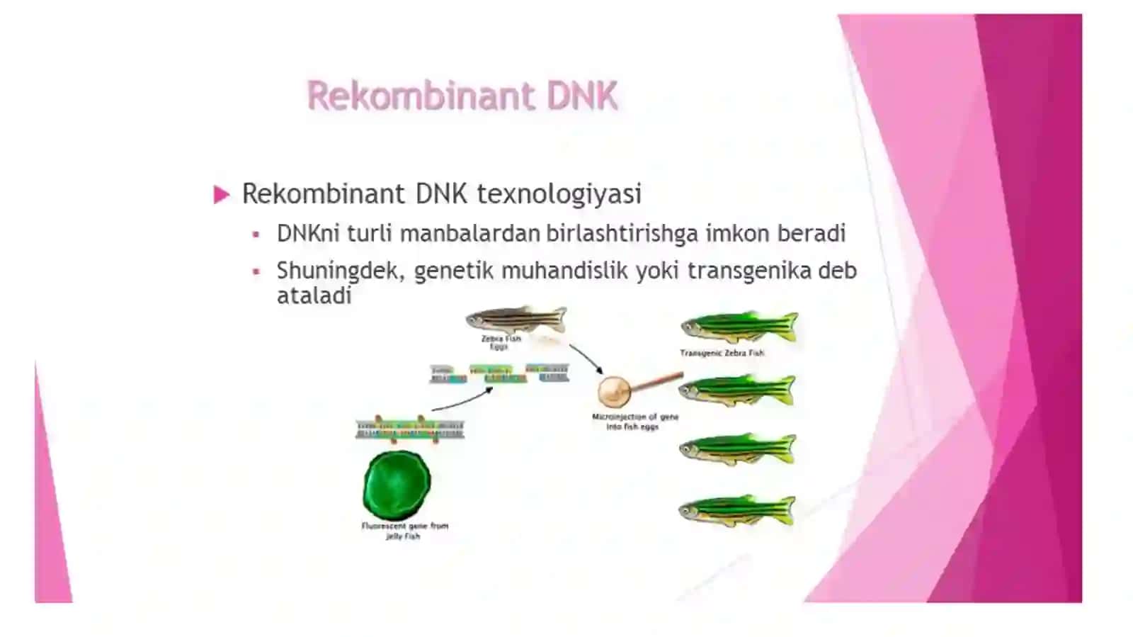Rekombinat DNK olish 2