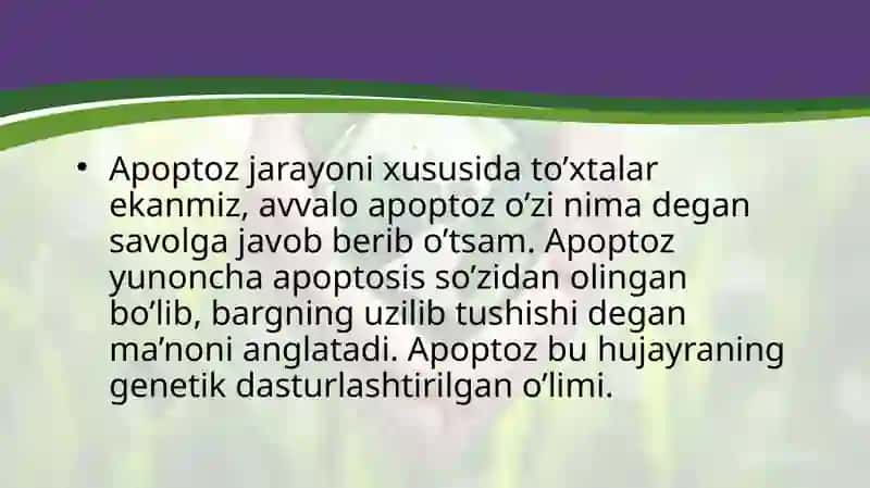 apoptozmexanizmi 2