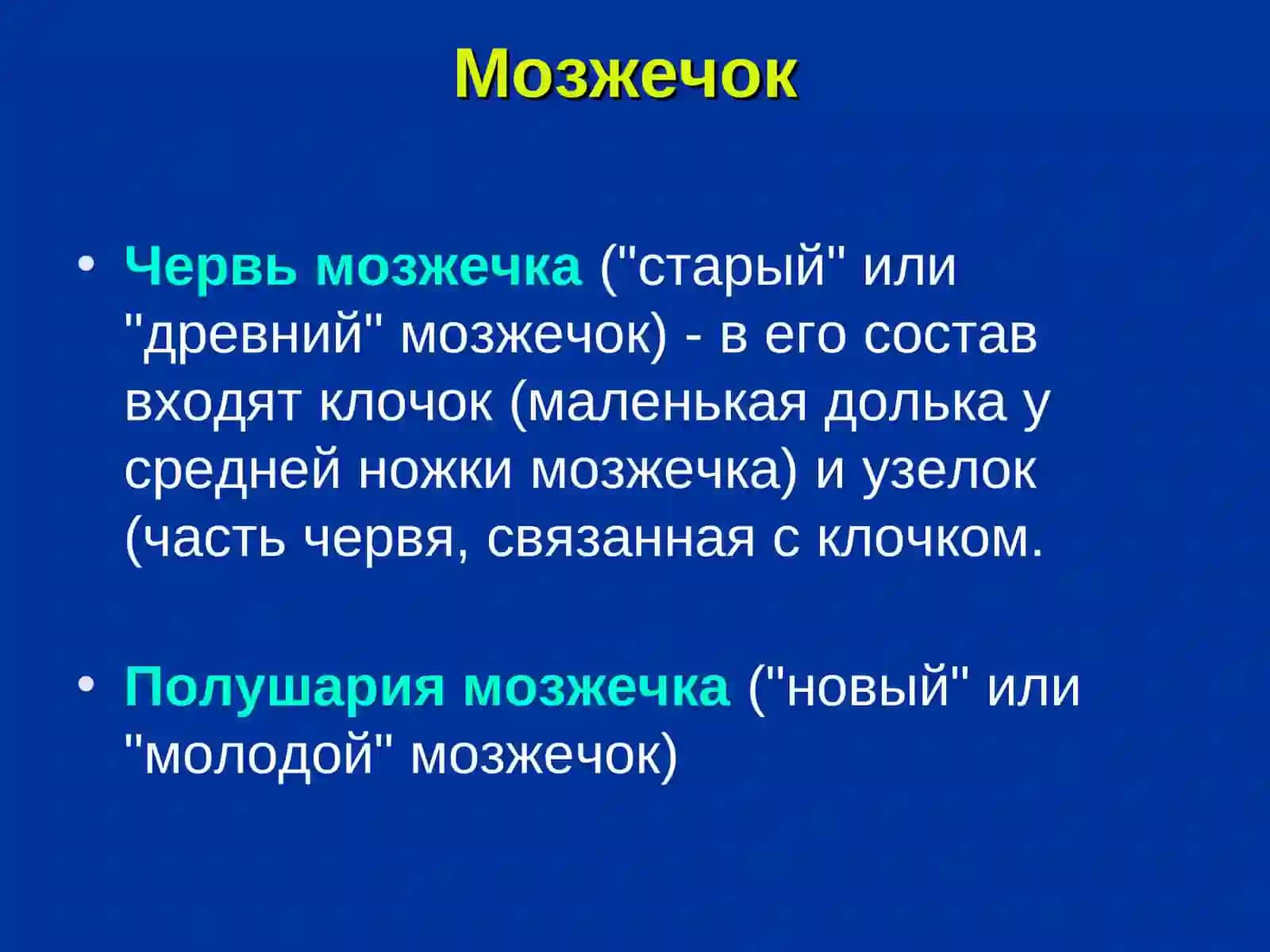 Мозжечок 2