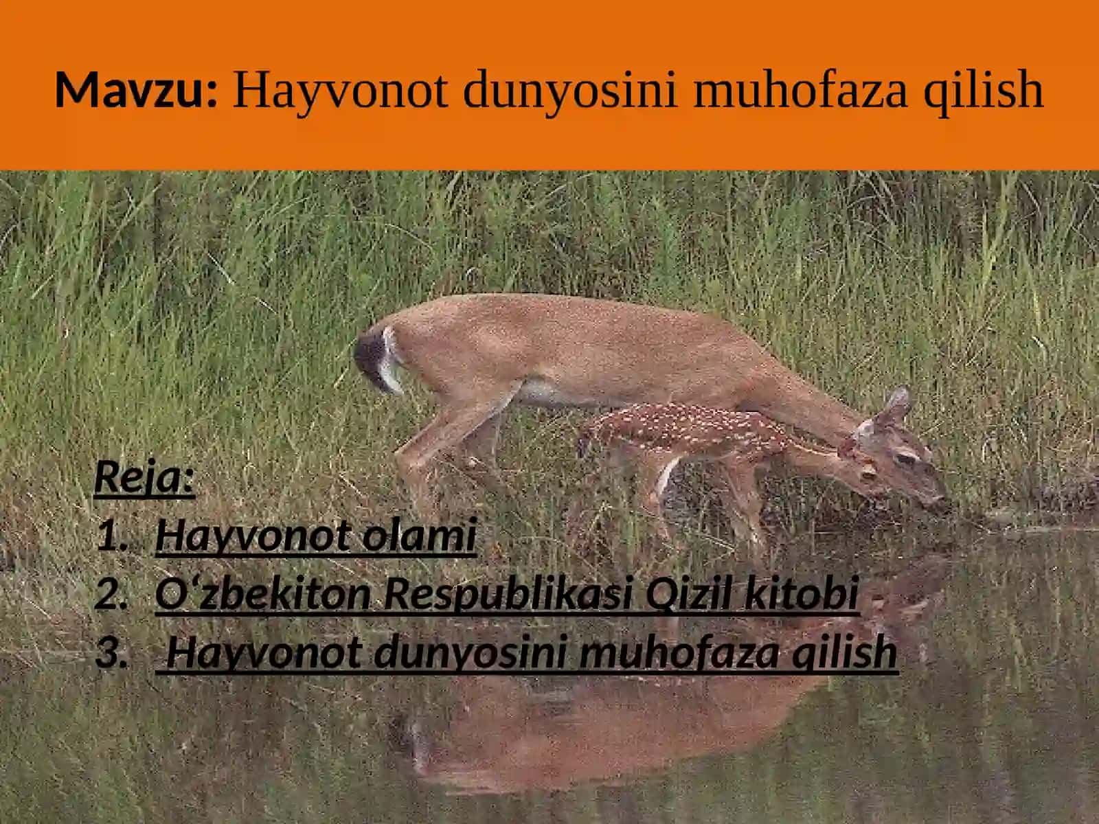 Hayvonot dunyosini muhofaza qilish 2