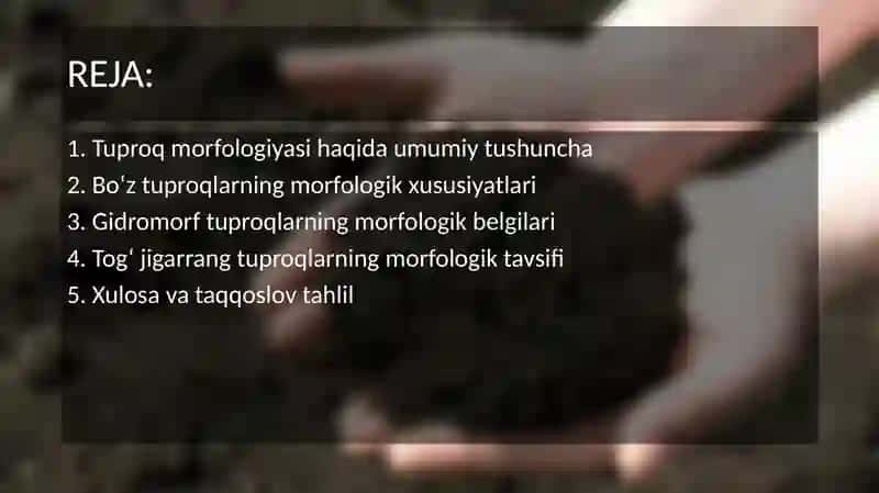 Tuproq morfologiyasi 2