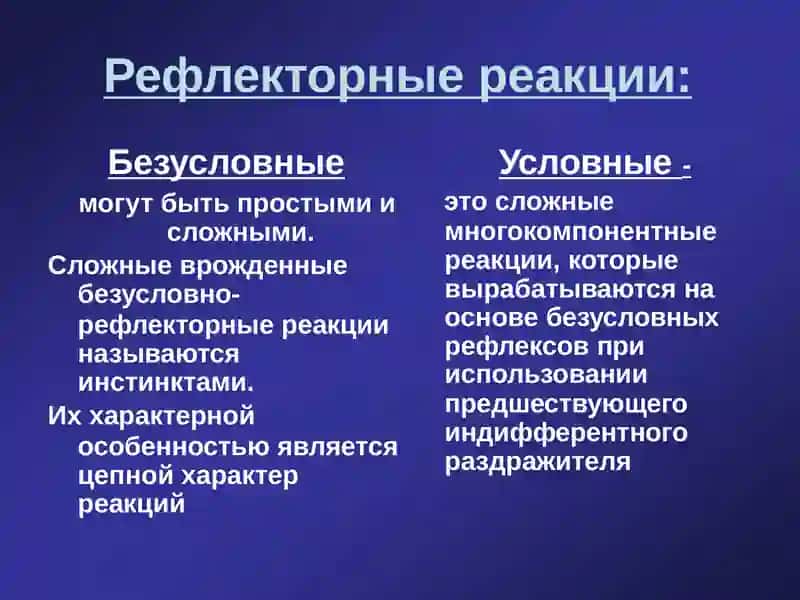 ВЫСШАЯ НЕРВНАЯ ДЕЯТЕЛЬНОСТЬ. РЕФЛЕКСЫ ЧЕЛОВЕКА 2
