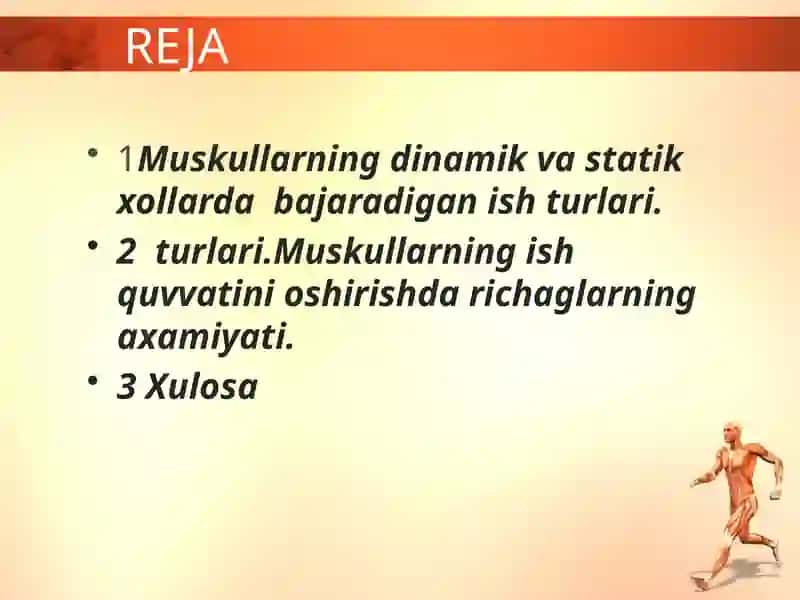 MUSKULLAR 2