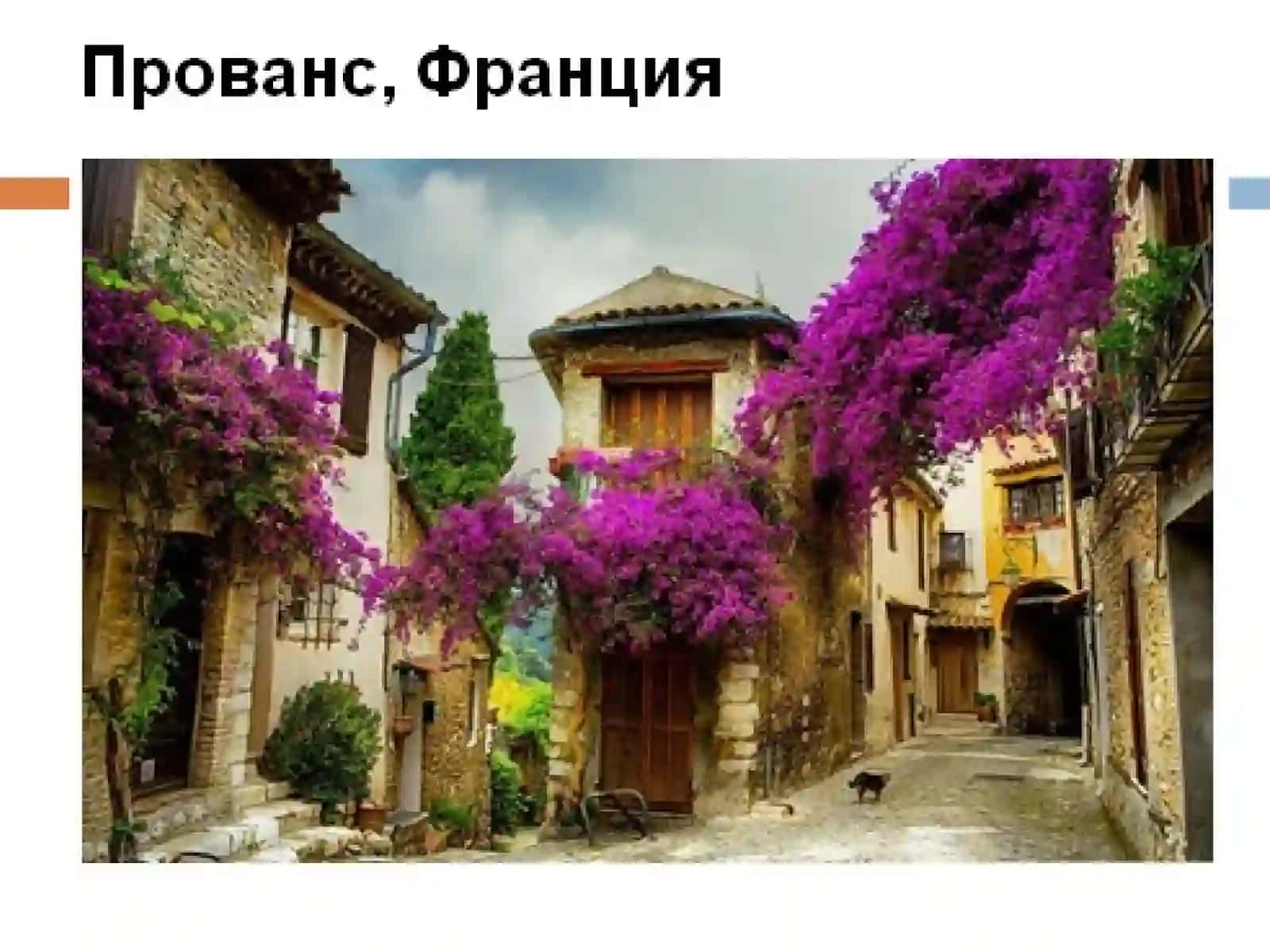 Adxamjon tayyorladi 2