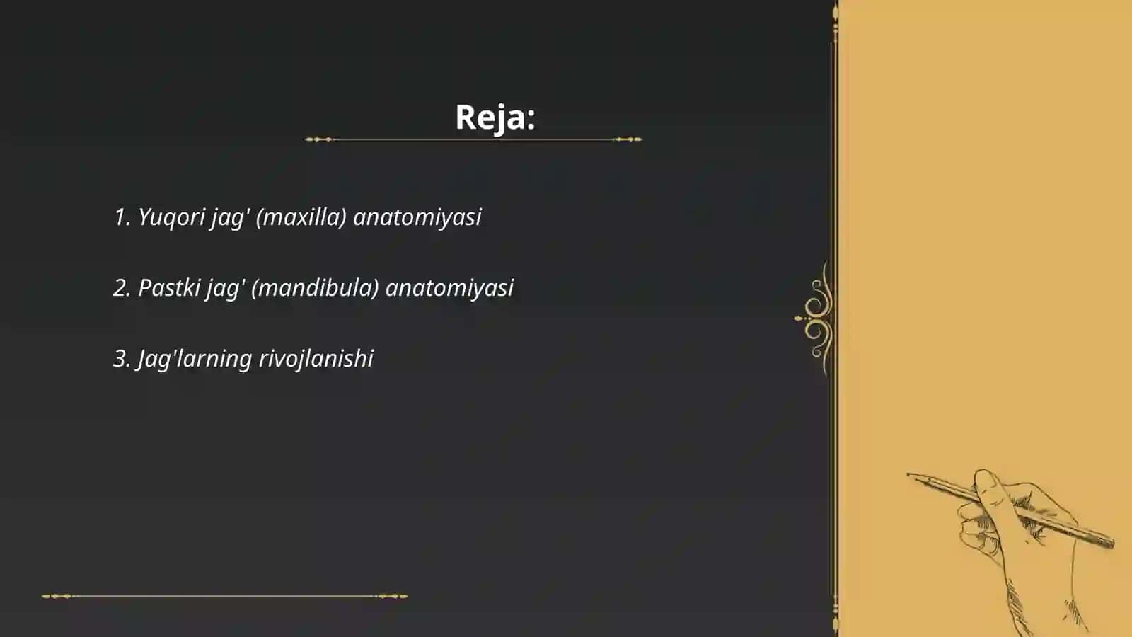 Yuqori va pastki jagʻ (mandibula va maxilla) 2