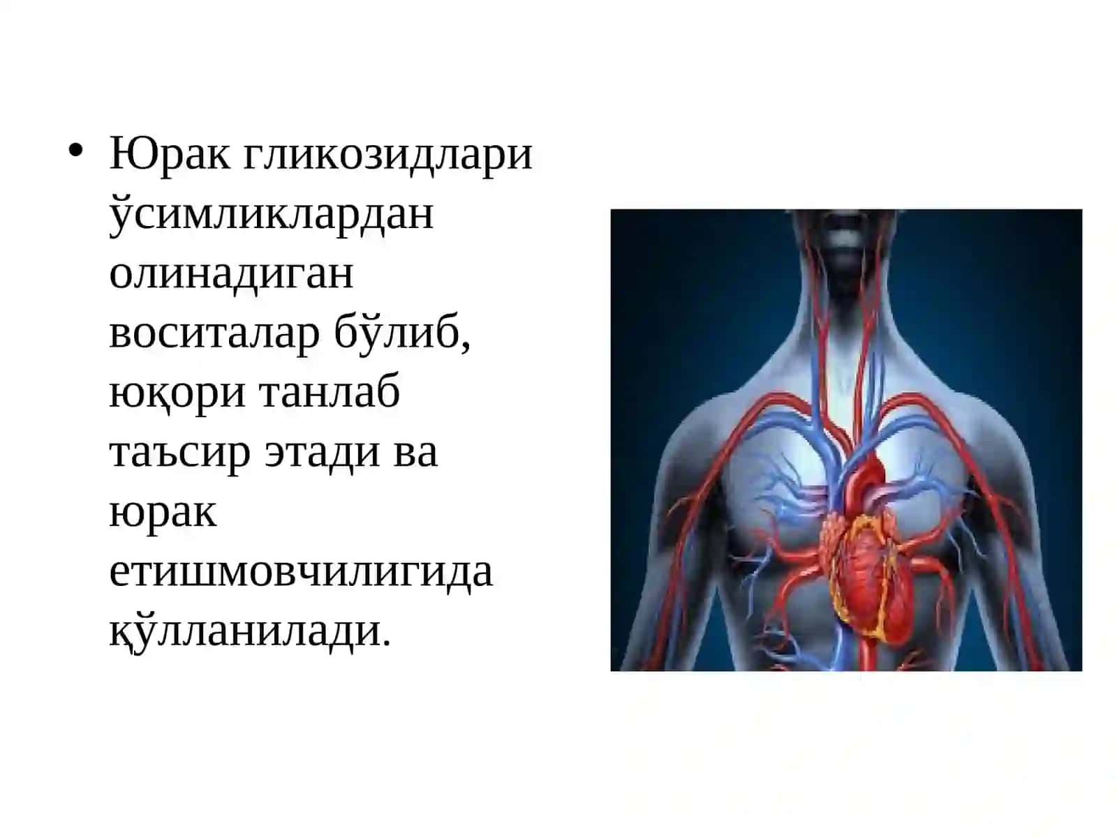 ЮРАК ГЛИКОЗИДЛАРИ 2