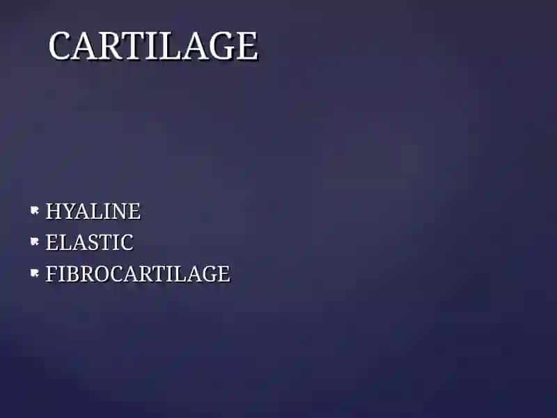Cartilage and bone. Hyaline, elastic cartilago and fibrocartilago 2