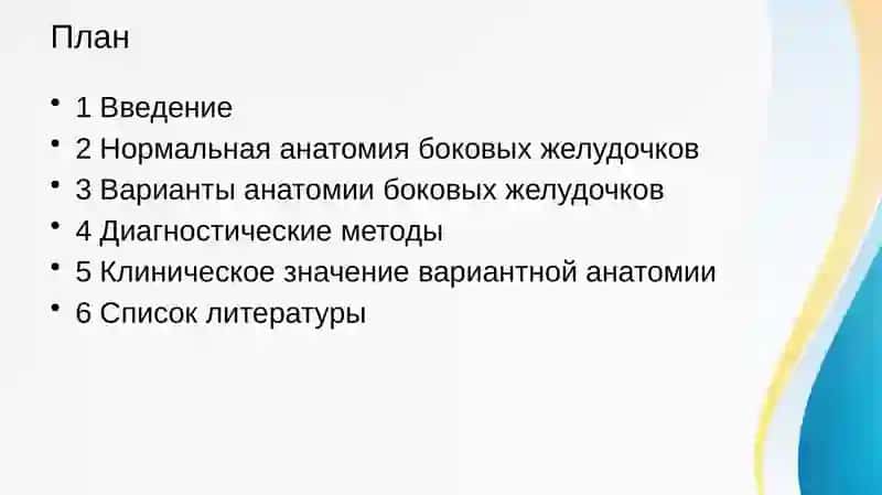 Kлиническое значение вариантной анатомии боковых желудочков 2